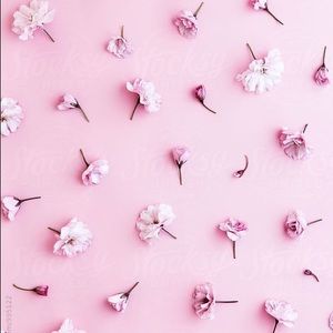 Meet your Posher, Ciana